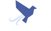 new-jav-net.pornproxysite.com